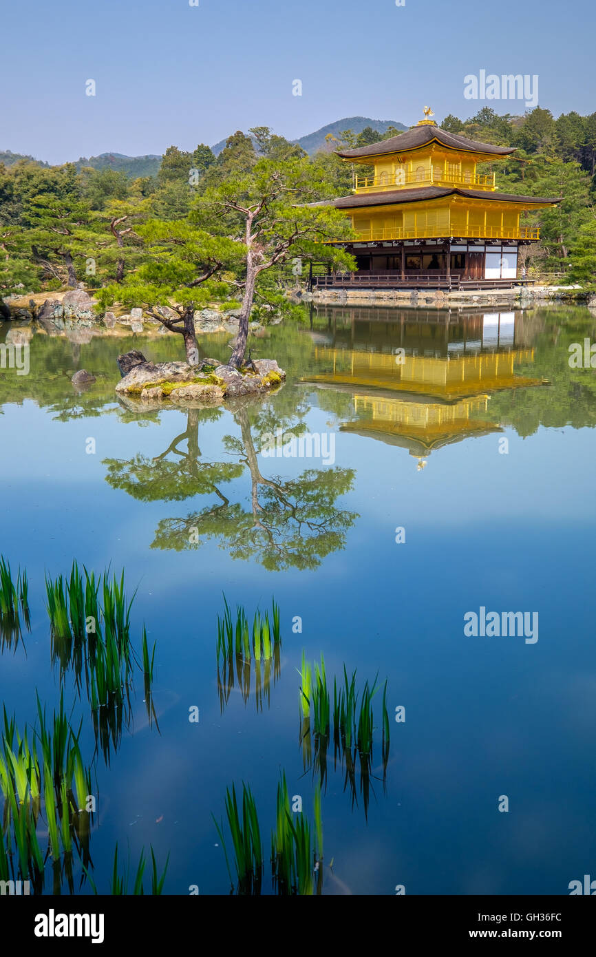 Die erstaunliche Kinkaku-Ji golden Tempel in Kyoto, Japan Stockfoto