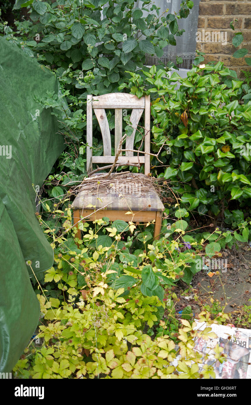 Eine verlassene Stuhl in einem verwilderten Garten Stockfoto
