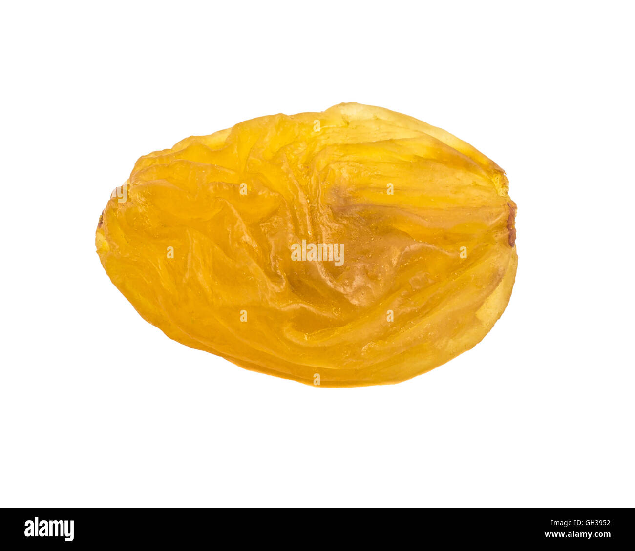 Super Nahaufnahme Makroaufnahme einer goldenen Rosinen. Stockfoto
