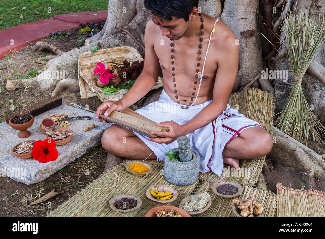 Eine junge traditionelle Ayurveda-Arzt einen alten Palmblatt-Bildlauf auf Naturheilkunde lesen. Stockfoto