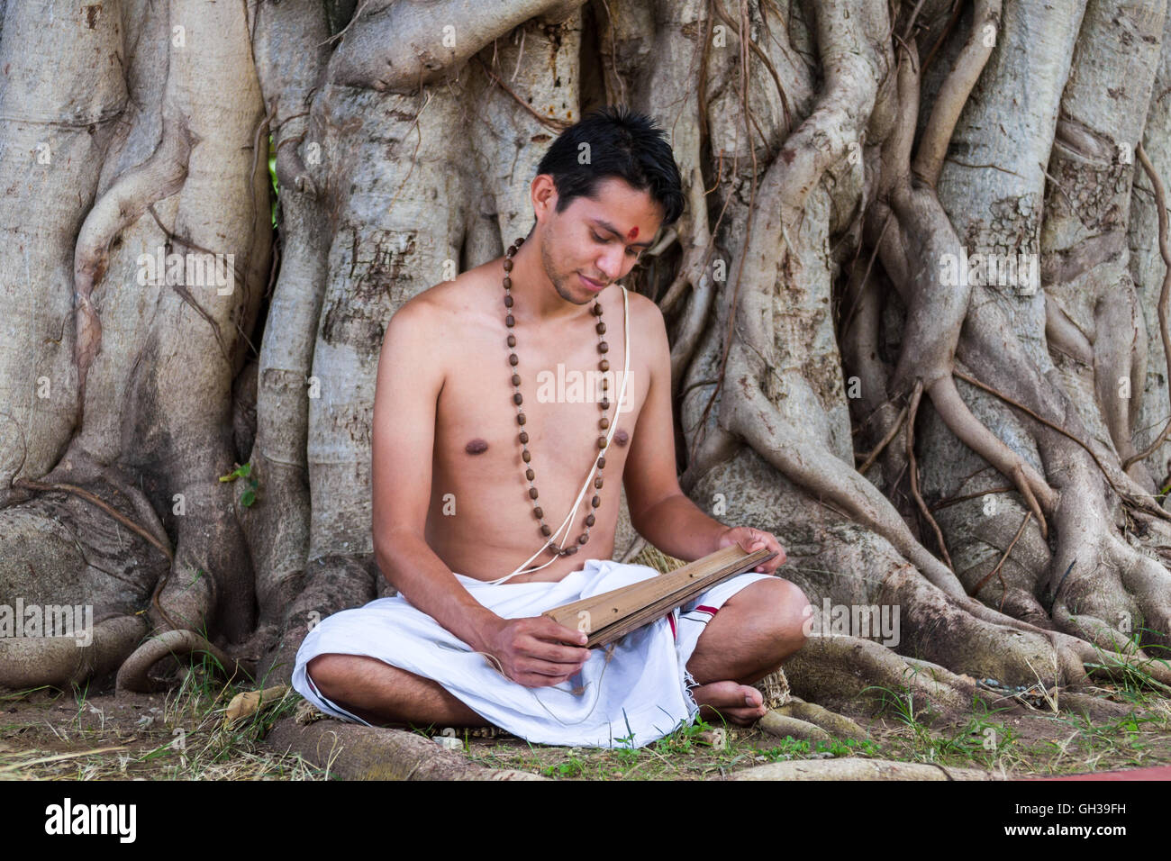 Eine junge traditionelle Ayurveda-Arzt einen alten Palmblatt-Bildlauf auf Naturheilkunde lesen. Stockfoto