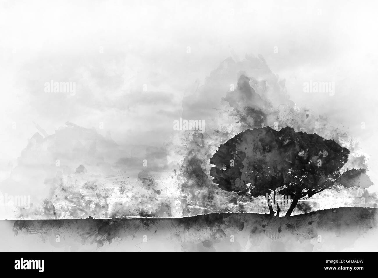 Silhouette eines Baumes. Digitales Aquarell monochrome Malerei Stockfoto