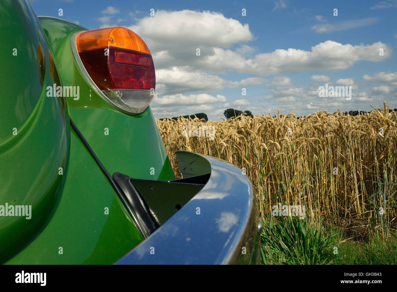 Ein grünes Auto in einem Weizenfeld Stockfoto