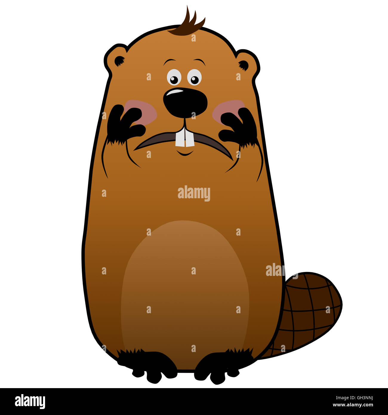 Verlegen Cartoon Biber auf weißem Hintergrund, Emotionen Stockfoto