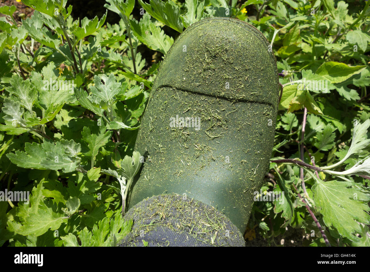 Städtischen Landwirt grüne Gardering Stiefel über Garten Hintergrund Stockfoto