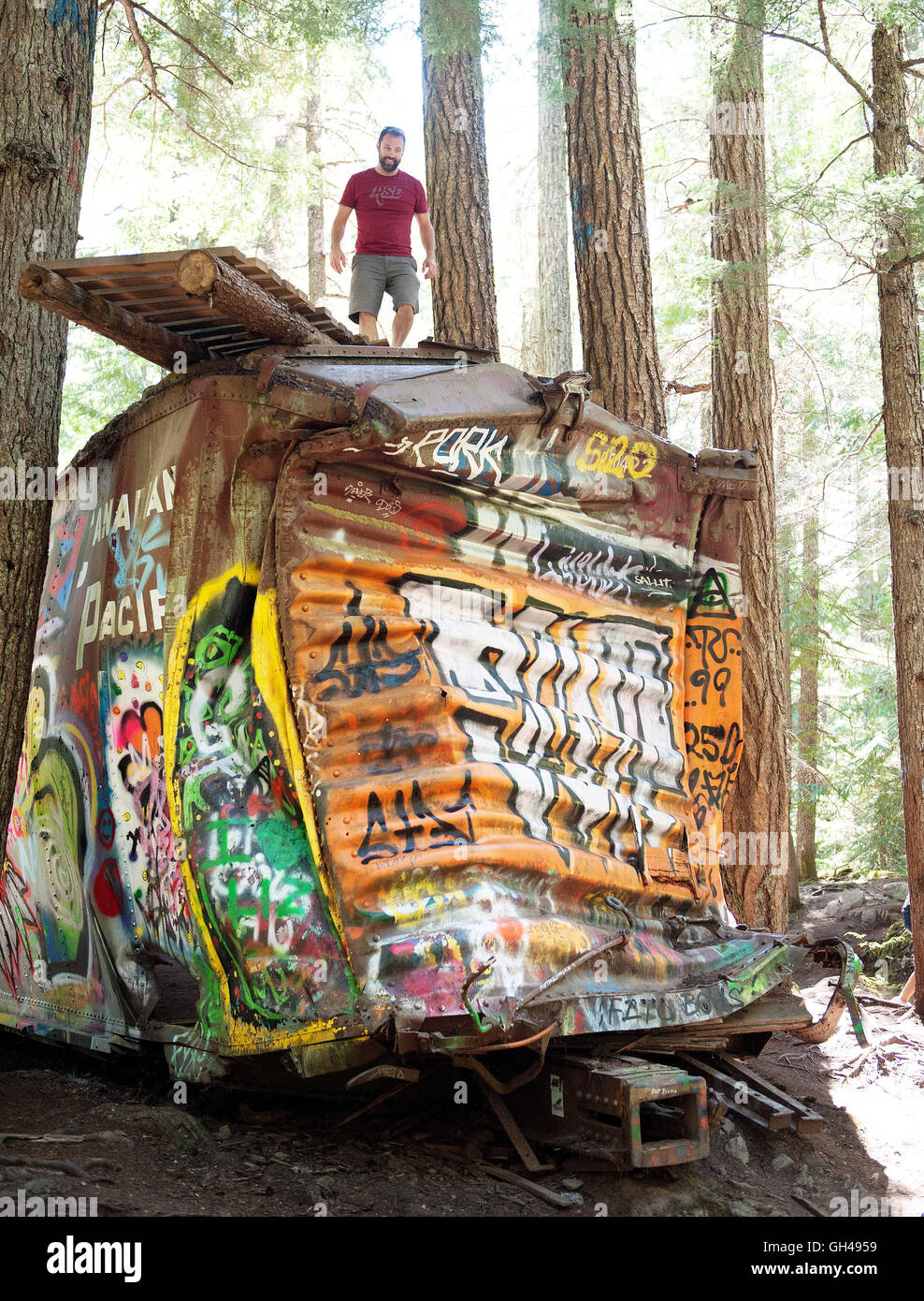 Touristen schauen Sie sich Graffiti bedeckt Güterwagen in den Zug Wrack Wald Mountainbike-Trail in der Nähe von Whistler, BC, Kanada. Stockfoto