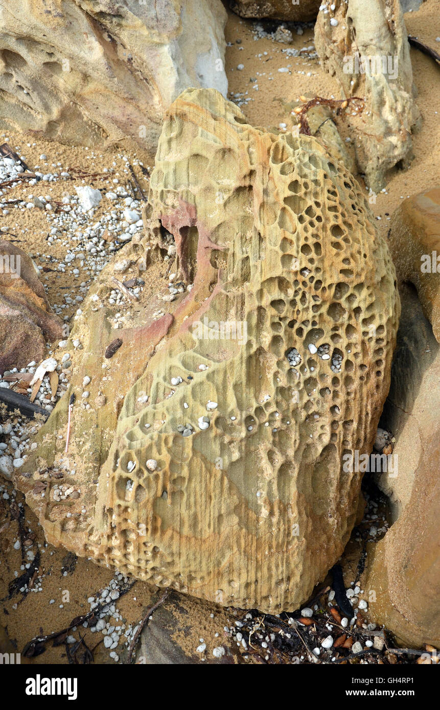 Abwechslungsreiche Muster, Farben, Formen und Schichten der natürlichen verwitterter Sandsteinfelsen an der Küste von Sydney, New South Wales, Australien Stockfoto