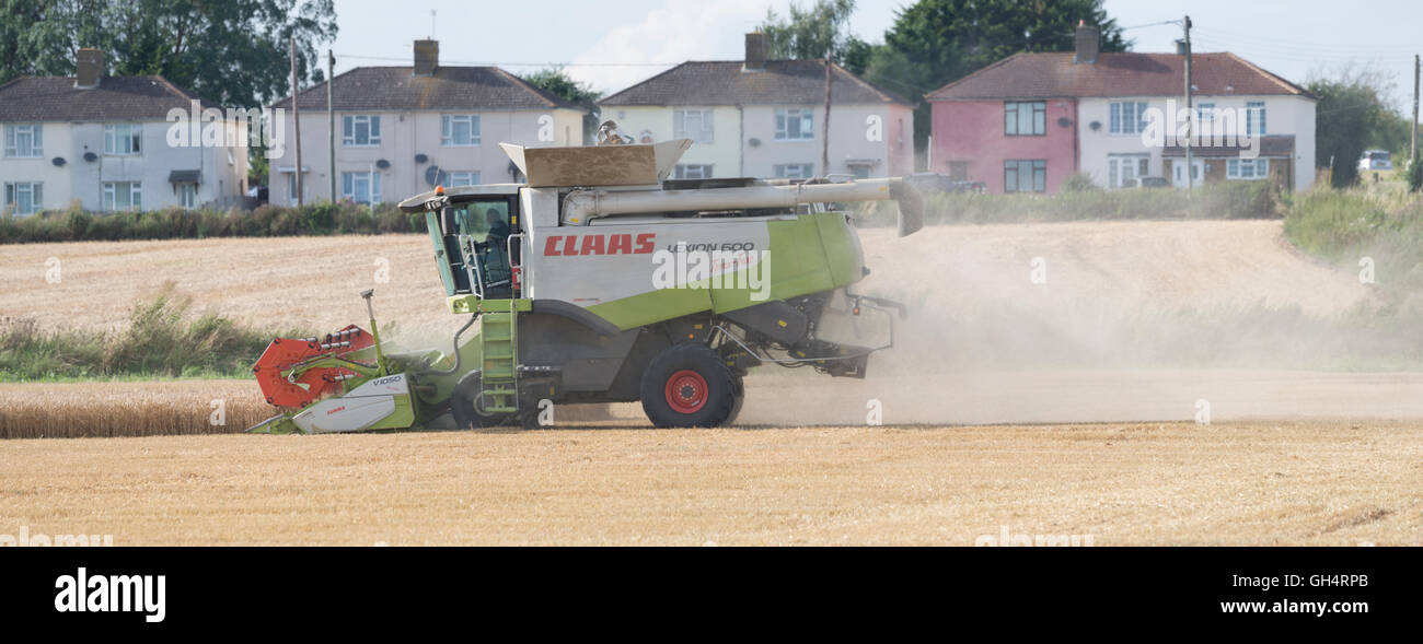 landwirtschaftliche, Maschinen, Landwirtschaft, Mähdrescher, Bauernhof, Ernte, ernten, Staub, kommerzielle, Kommerzialisierung, Kommerzialisierung, Stockfoto