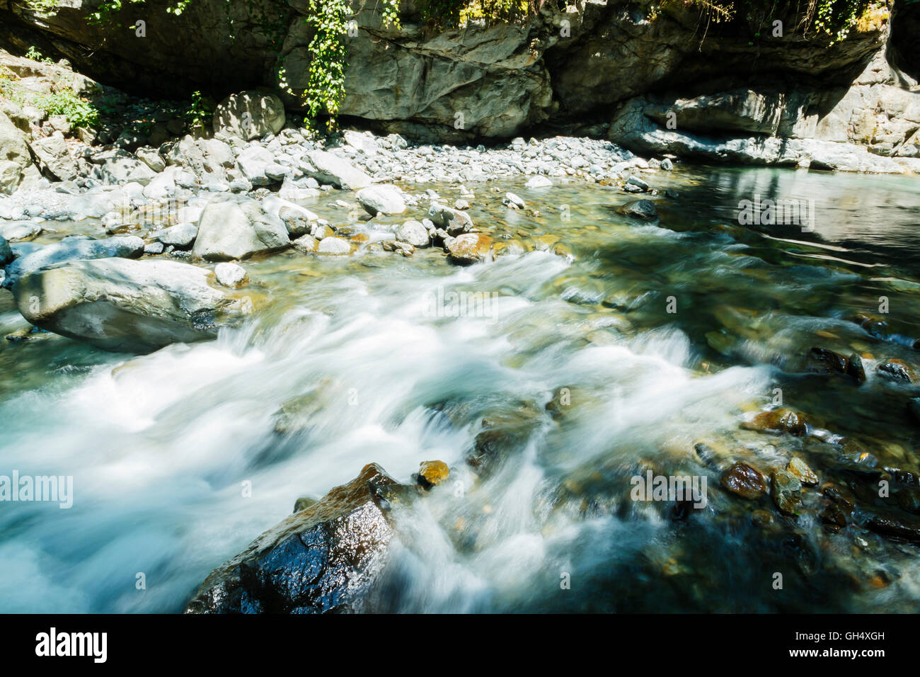 Fluss Stromschnellen Caucasus Blauwasser grüner Bergwald Stockfoto