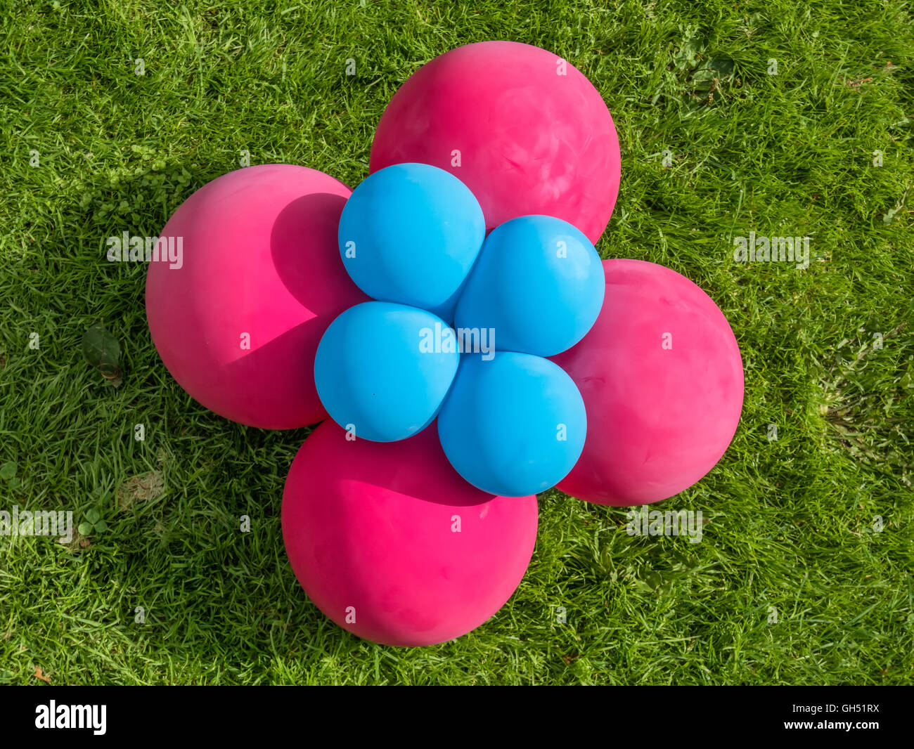 Reihe von bunten Luftballons auf dem grünen Rasen Stockfoto