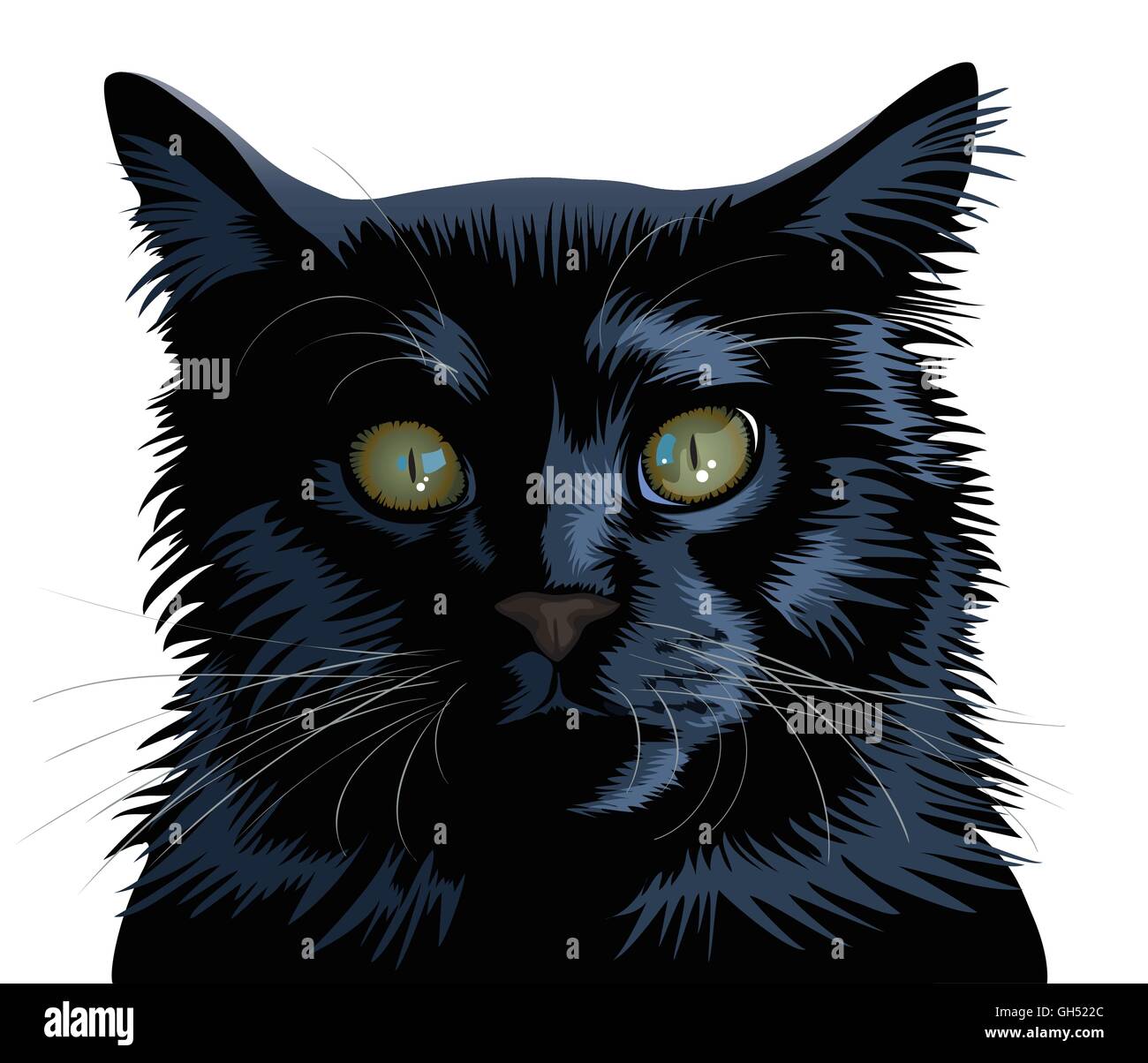 Schwarze Katze auf einem weißen Hintergrund isoliert Stock Vektor