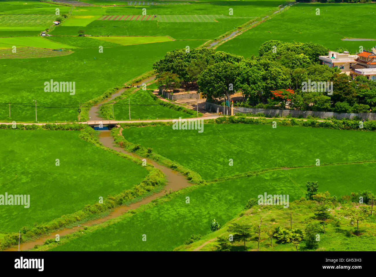 Grüne Felder in Vietnam Dorf Stockfoto