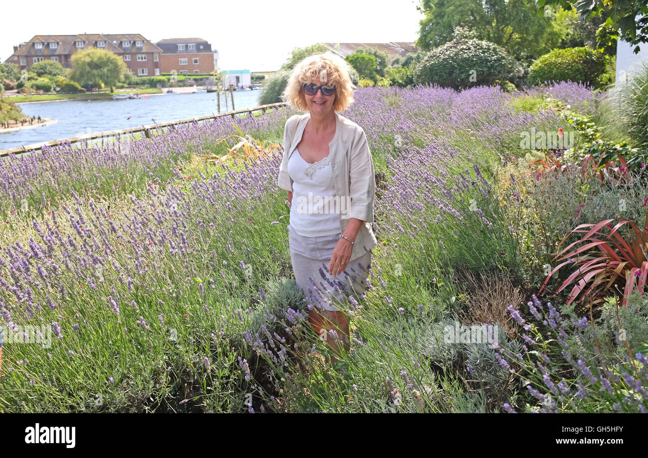 Spaziergang durch Lavendel Blumenbeet im Mewsbrook öffentlichen Park Rustington Littlehampton Sussex UK Stockfoto