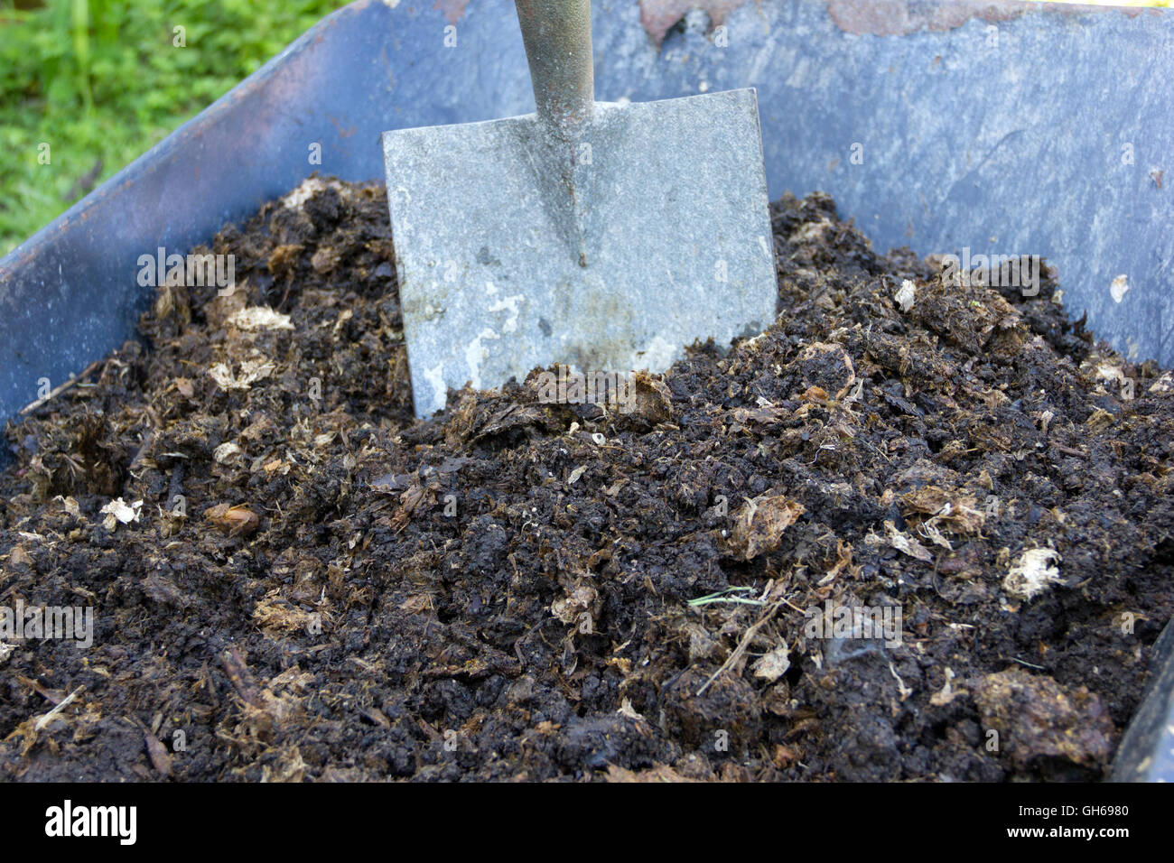 Hausgemachte Bio-Kompost in einer Schubkarre mit Spaten Stockfoto