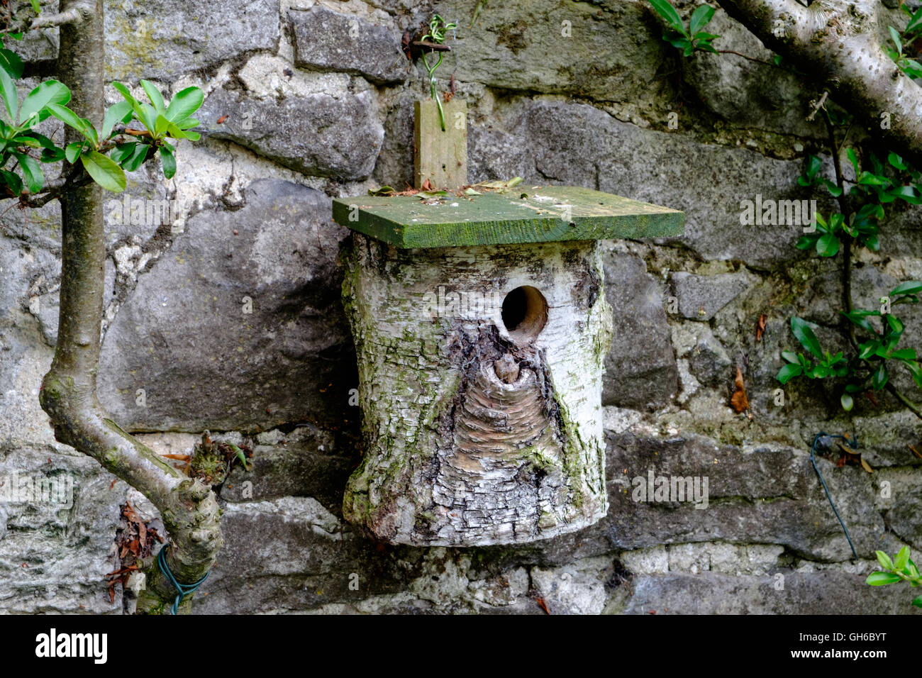 Vogelhaus aus Baumstamm hergestellt Stockfotografie - Alamy