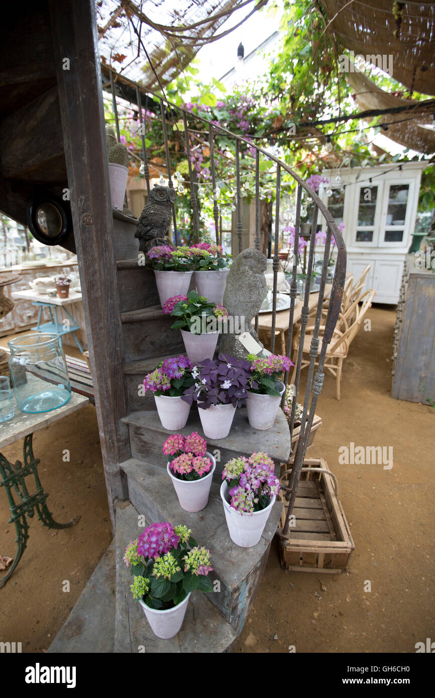 Petersham Nurseries, Richmond Upon Thames, Gewächshäuser, Verkauf von eleganten Garten und Wohnaccessoires, London Borough of Richmond, Outer London, England, UK Stockfoto