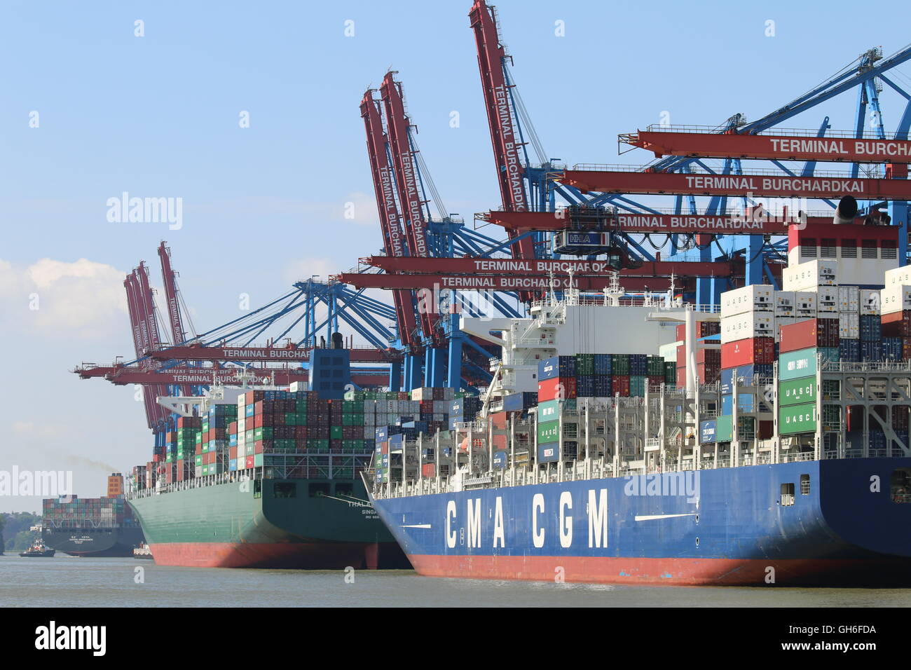 Container-Schiffe laden am Burchardkai-Terminal, Hamburg, Deutschland Stockfoto
