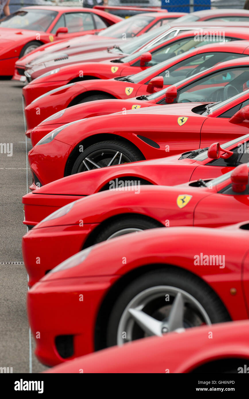 Sportwagen Ferrari Owners Club aufgereiht an der 2016 Silverstone Classic Veranstaltung, England, UK Stockfoto