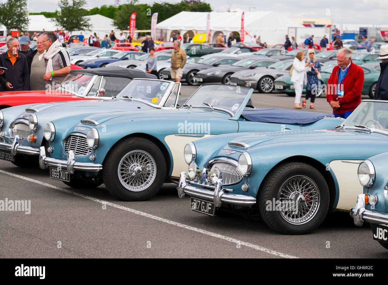 Austin Healey Sportwagen auf dem Display an der 2016 Silverstone Classic Veranstaltung, England, UK Stockfoto