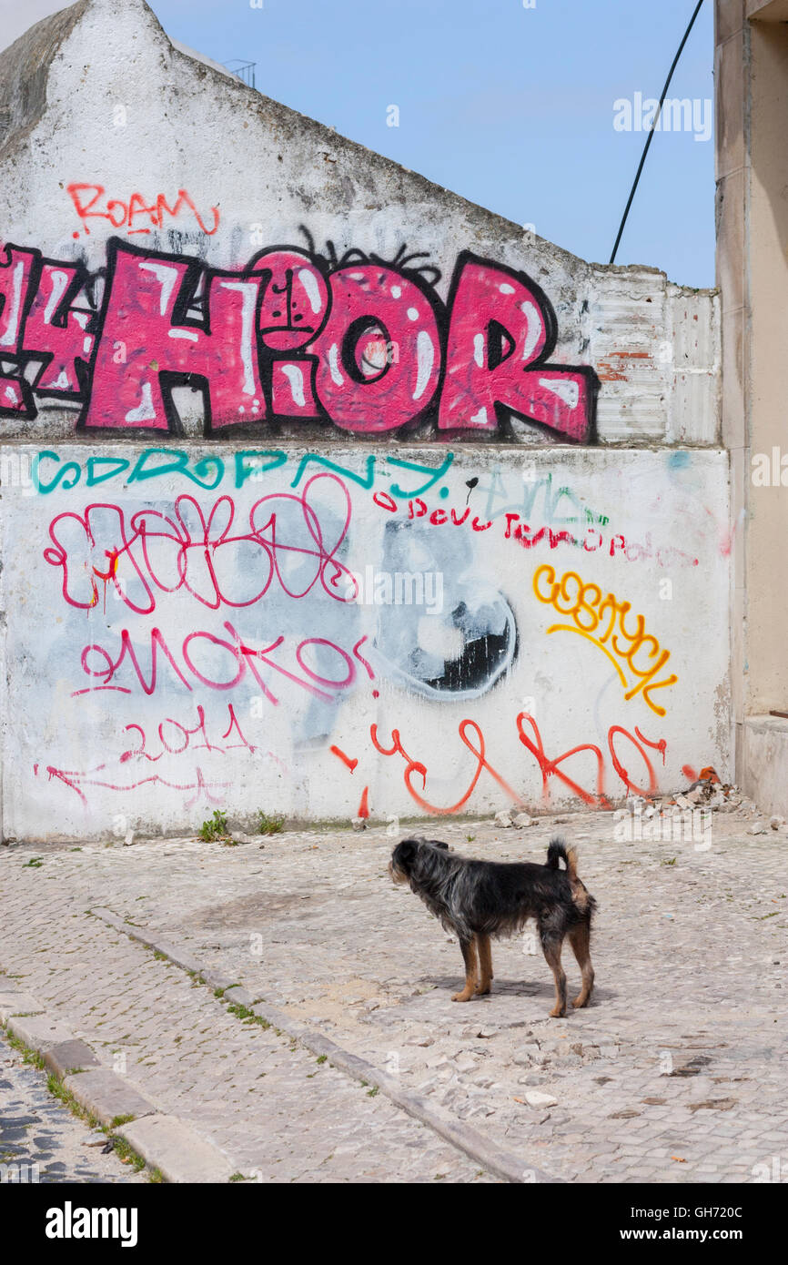 Streetart-Graffiti in Lissabon Portugal Stockfoto