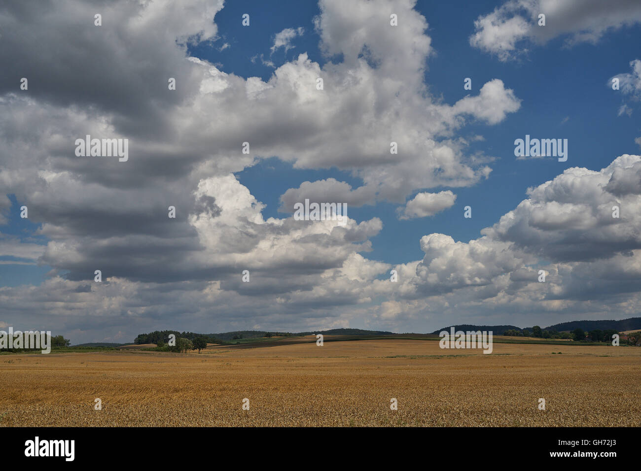 Malerische Wolken über Reife Weizenfelder Niederschlesien in der Nähe von Dzierzoniow Stockfoto