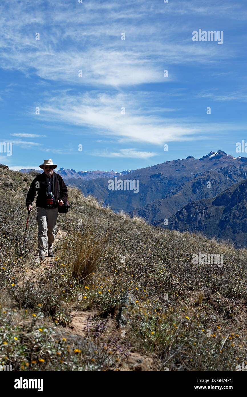 Männliche Wanderer auf Trail in der Nähe von Kreuz von der Condor übersehen, Colca Canyon, Arequipa, Peru Stockfoto