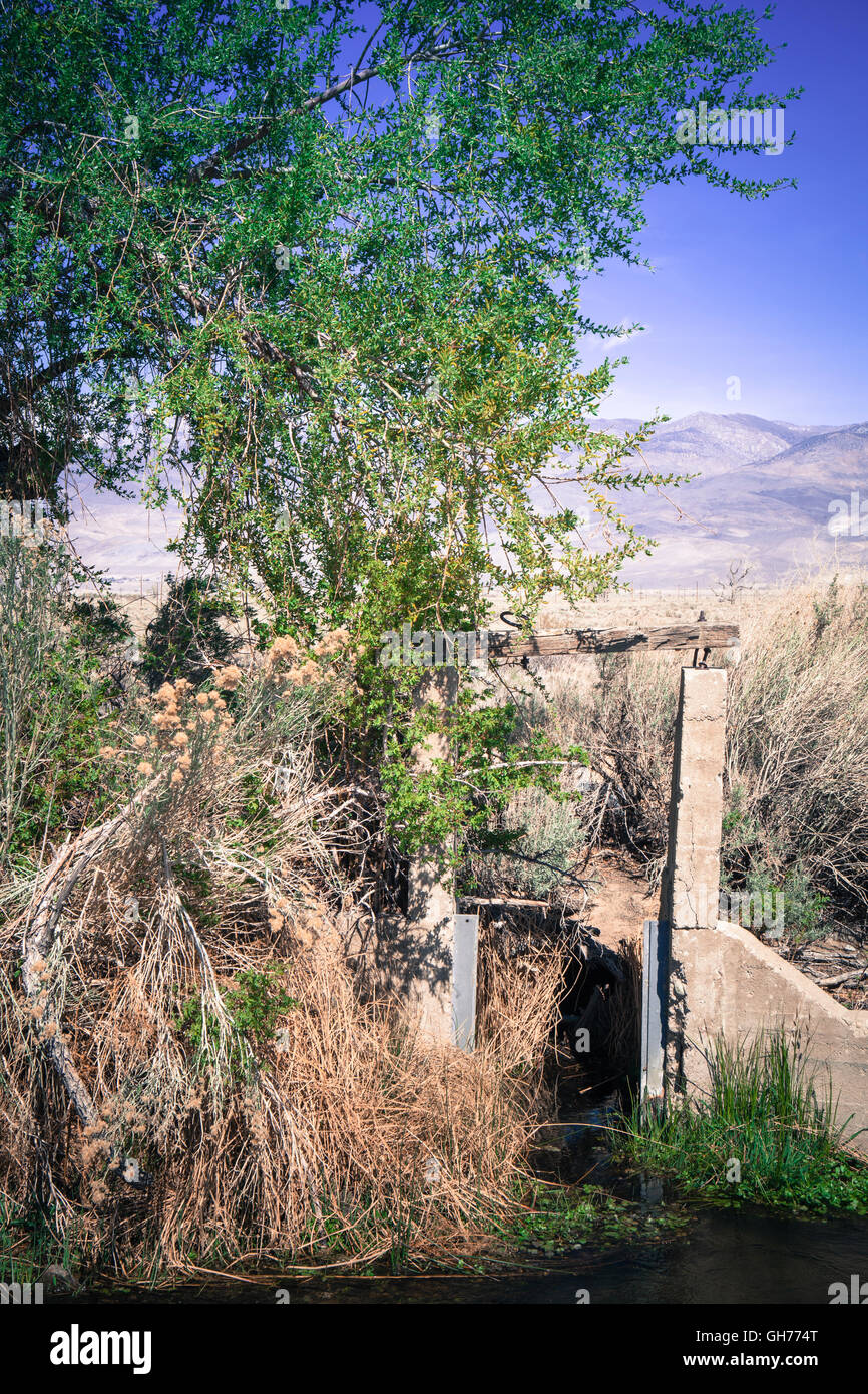 Alten Wasserstruktur Abzweigung in der Nähe einer alten Ranch an einem Bach in der Nähe von Bischof California im Sommer. Stockfoto