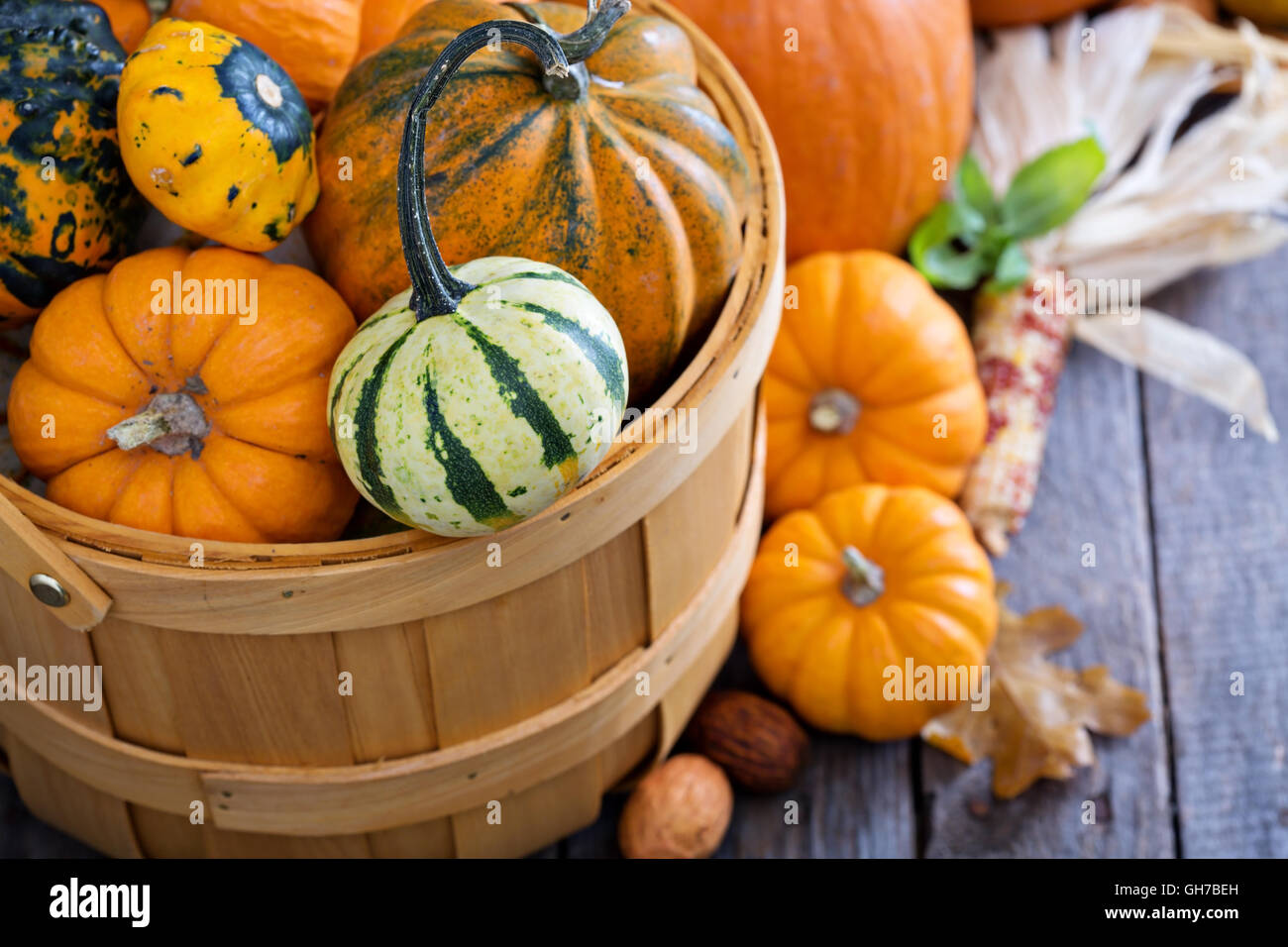 Verschiedene bunte dekorative Kürbisse in einem Korb Stockfoto