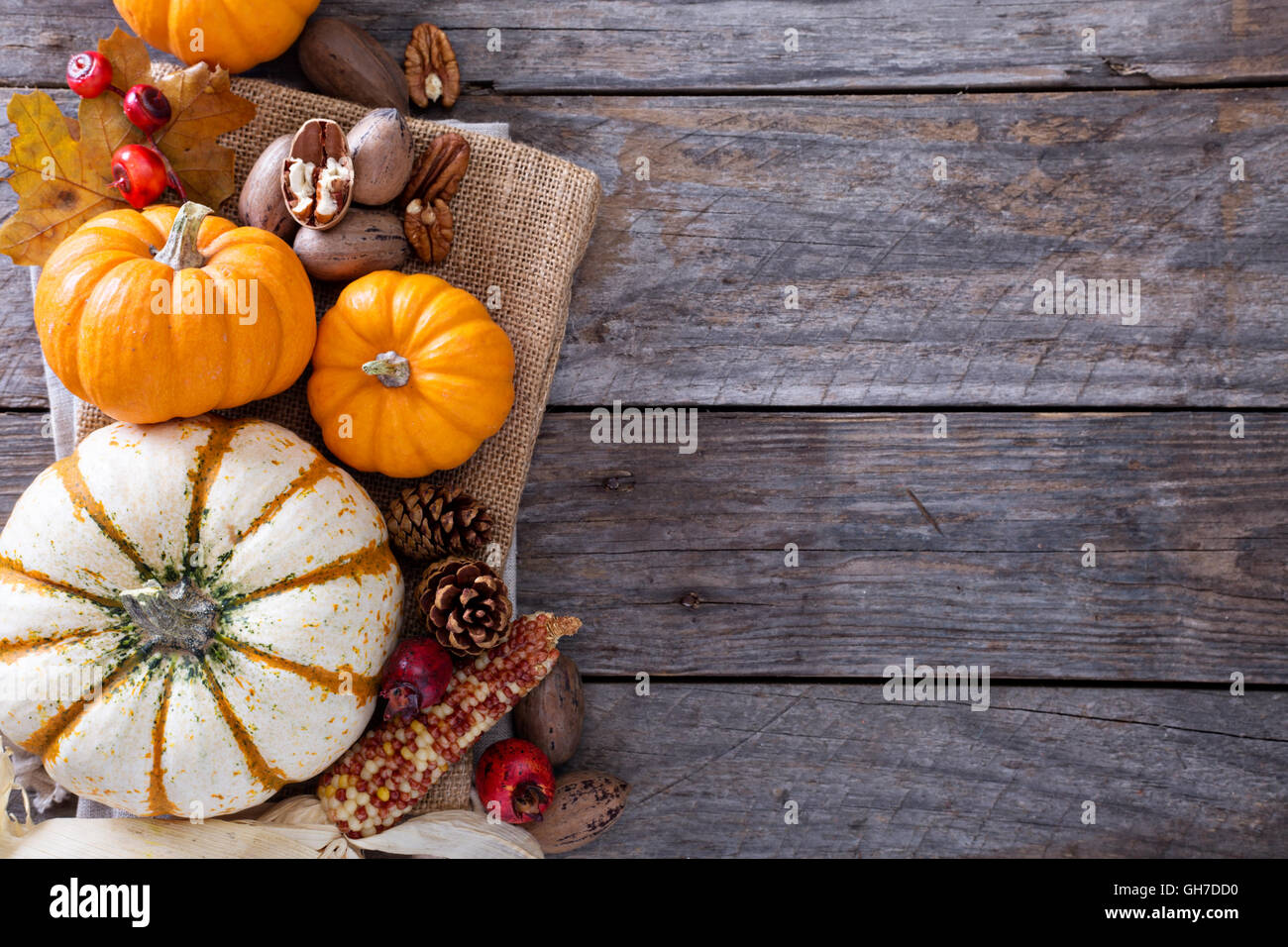 Herbst-Ernte-Konzept - Nüssen und Kürbisse Stockfoto