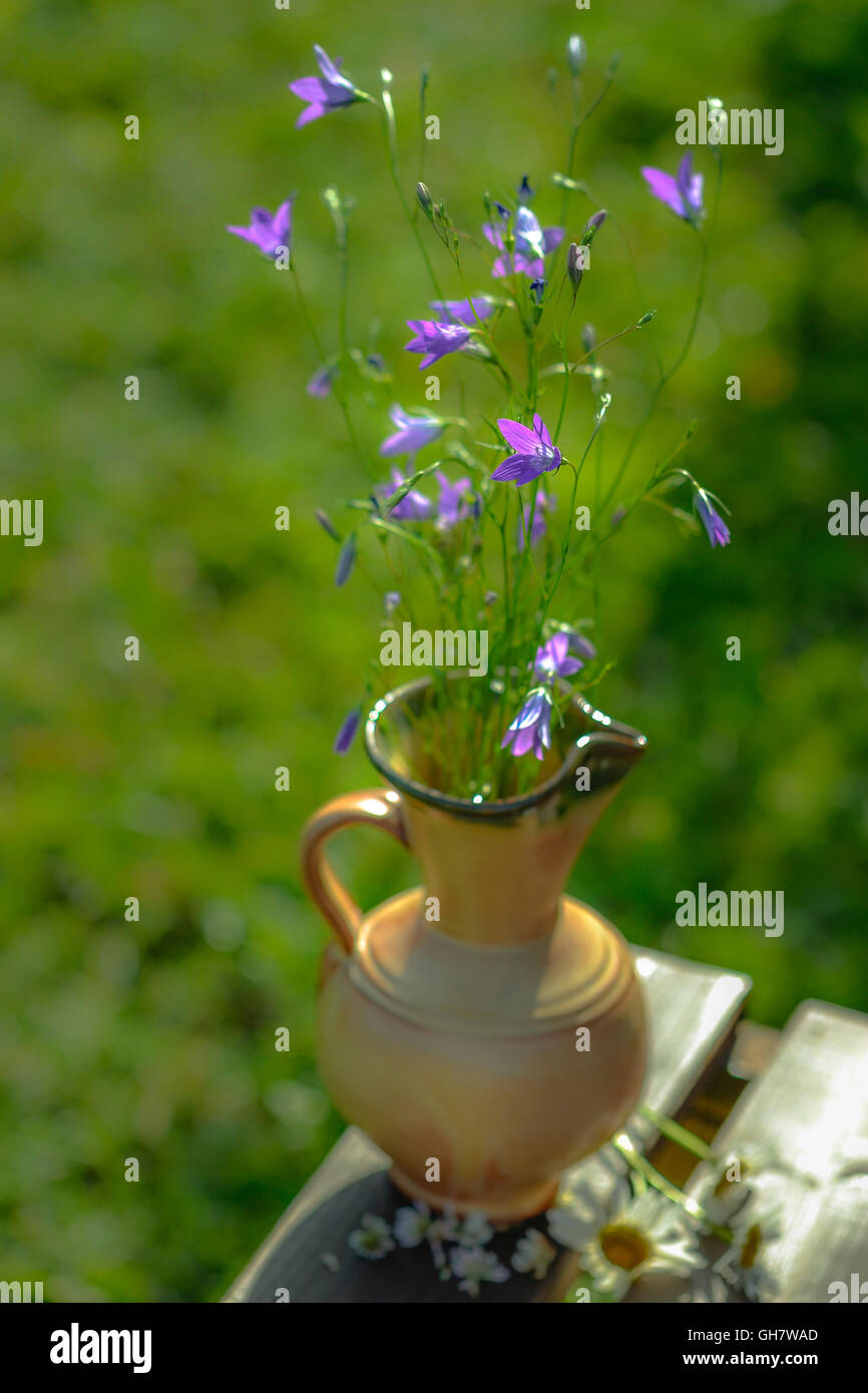 Home-Blumen, Dekoration, Sommer, Stockfoto