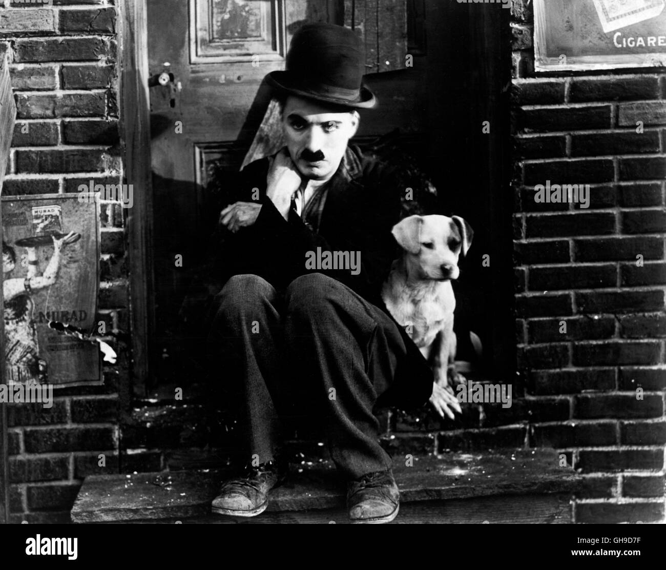 Der Tramp (CHARLES CHAPLIN) und seinem Hund. Regie: Charles Chaplin aka. Ein Hundeleben Stockfoto