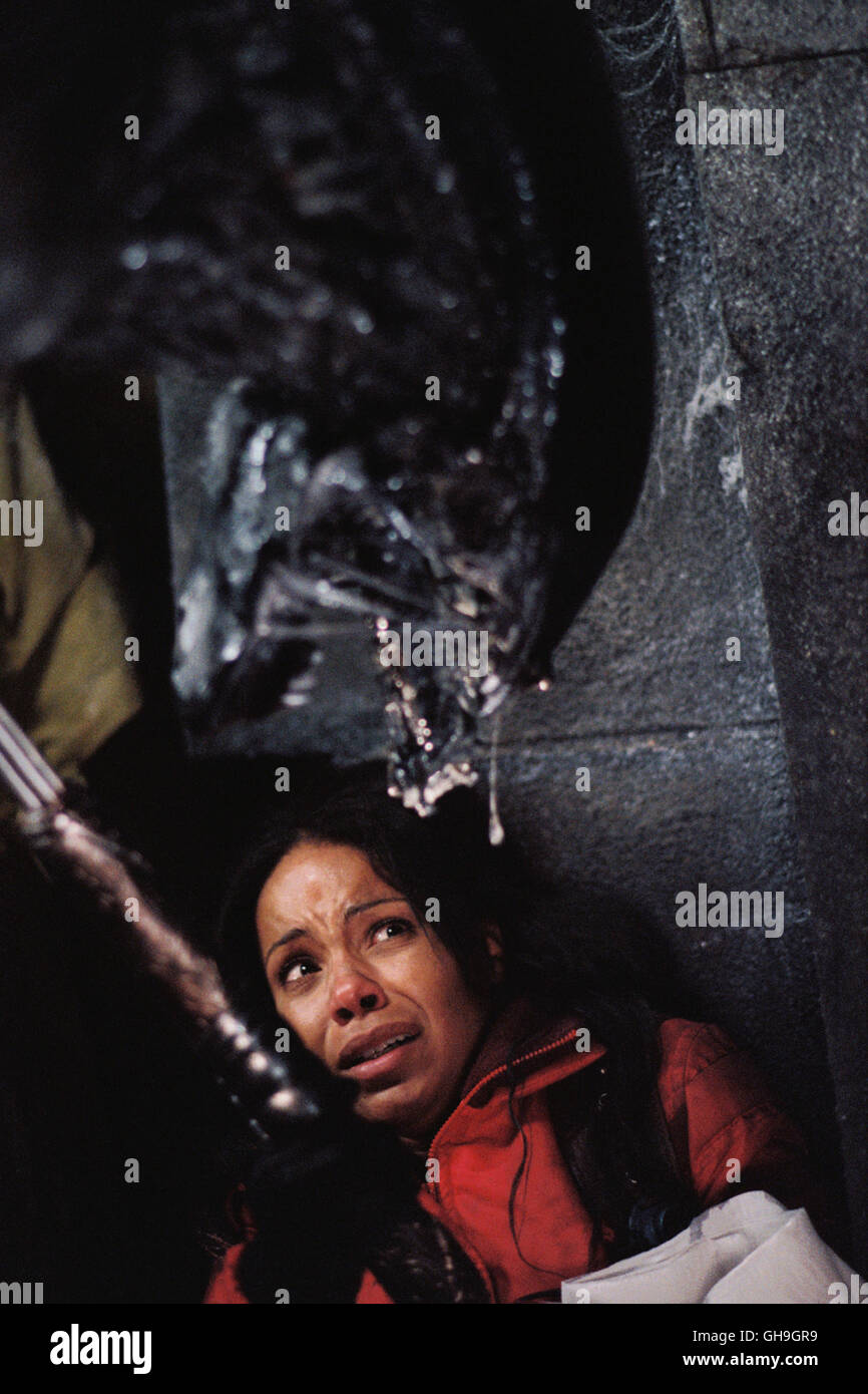 Sterben der Pyramide Wird Zur tÜdlichen Neigung: SANAA LATHAN (Expeditionsleiterin Alexa Woods) Film, Fernsehen, Kino, Horror-Regie: Paul W.S. Anderson aka. AVP: Alien vs. Predator Stockfoto