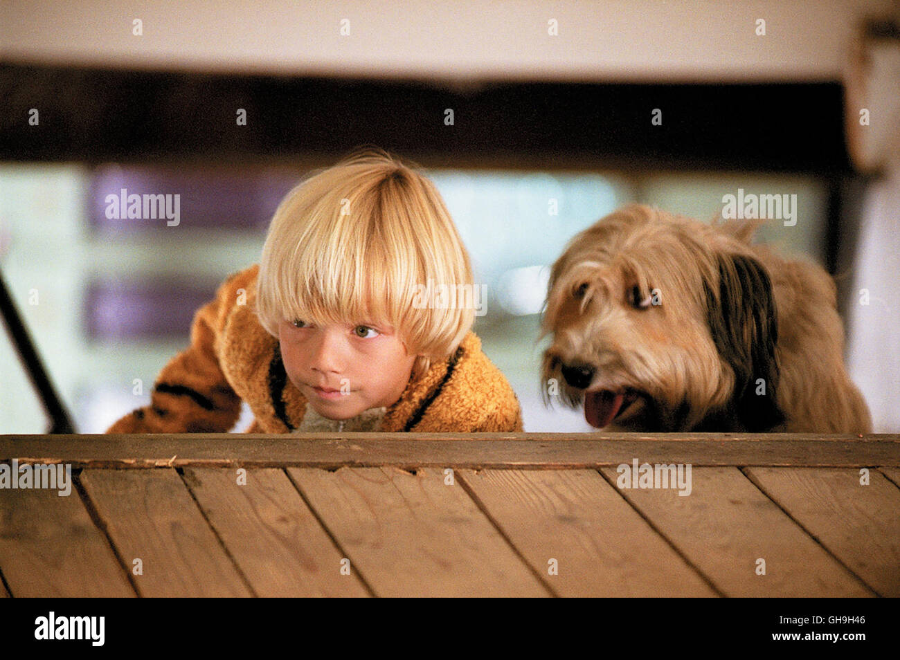 Der Sechsjährige Felix (NEAL LENNART THOMAS) Und Sein Neuer Freund, der