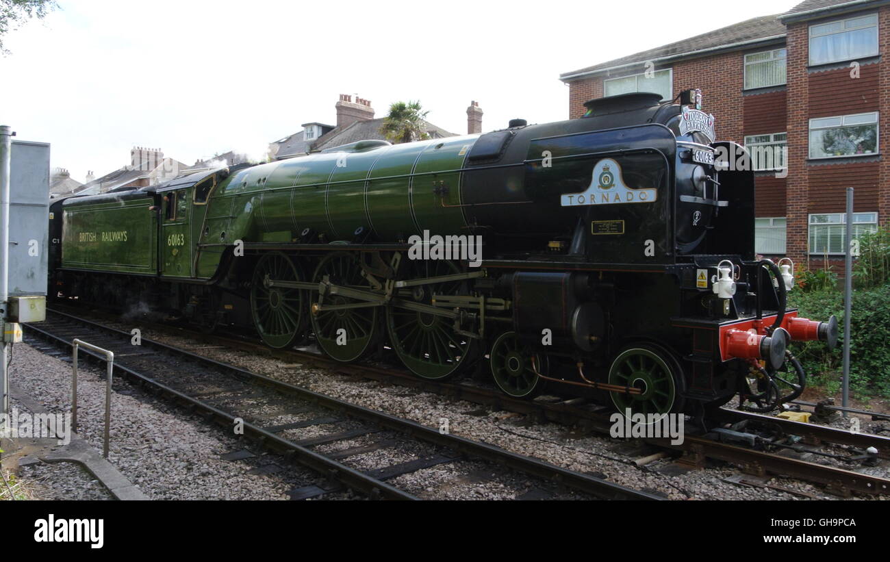 Pfeffer-Klasse A1 60613 Tornado in Paignton, Devon, England Stockfoto