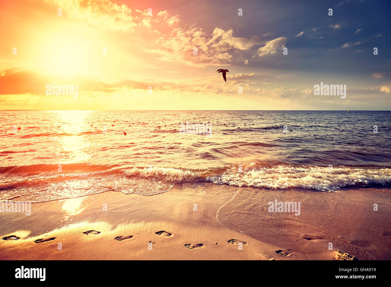 Jahrgang gefiltert Strand bei Sonnenuntergang, Sommerlandschaft. Stockfoto