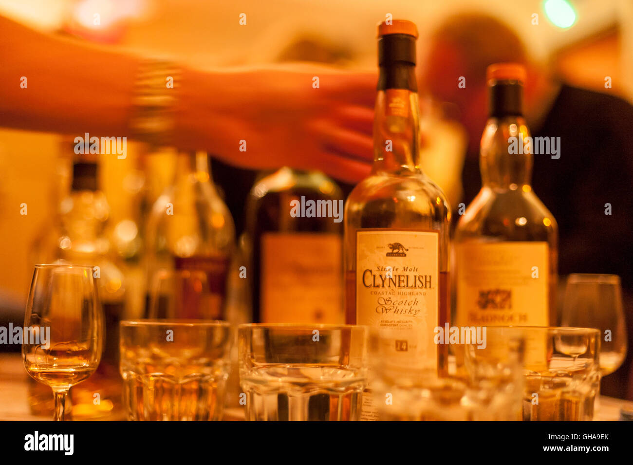 Kenner der Marken scotch Whisky Verkostung verschiedener Mischungen und. Stockfoto