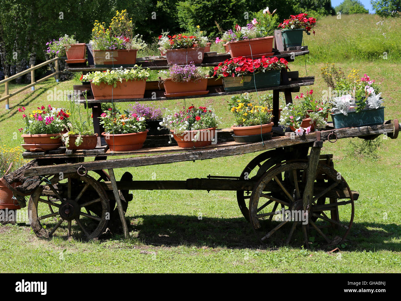 sehr alte Leiterwagen geschmückt mit vielen Töpfe mit Blumen auf der Wiese in den Bergen Stockfoto