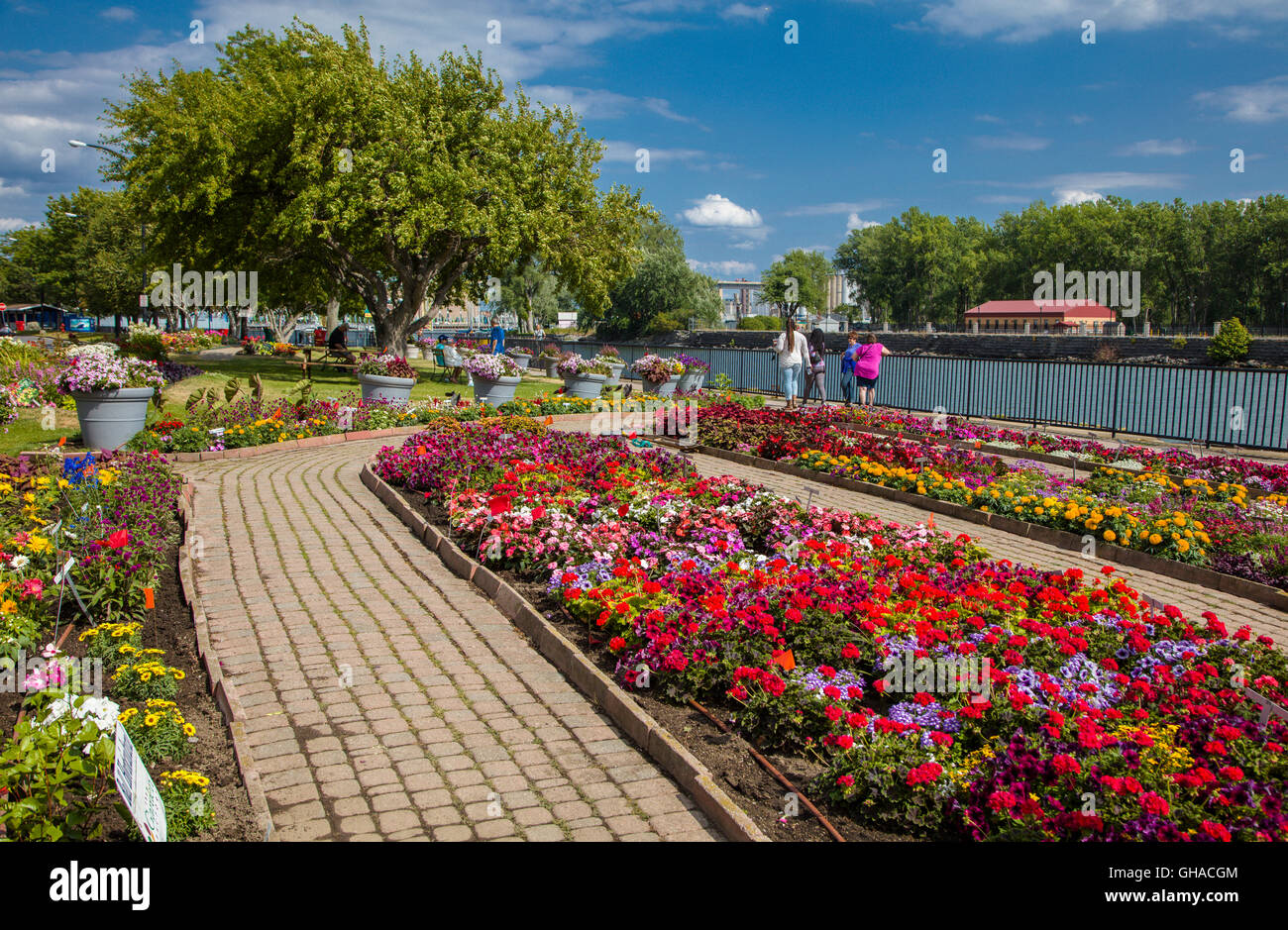 Erie Basin Marina Parks und Gärten auf dem Buffalo River und Lake Erie in Buffalo New York Stockfoto