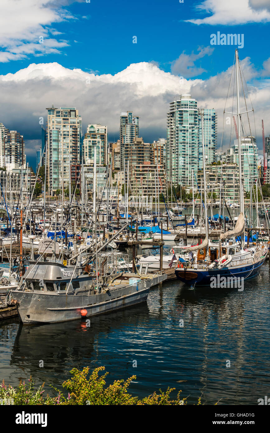Meeresarm False Creek, Vancouver, Britisch-Kolumbien, Kanada Stockfoto