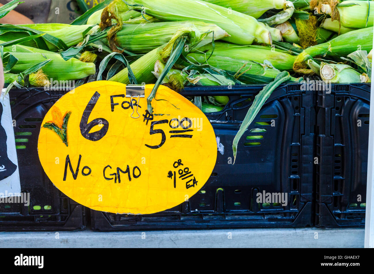 Mais vor Ort zum Verkauf auf dem San Leandro Bauernmarkt zum Schnäppchen-Preis von weniger als $1 ein Ohr. Stockfoto
