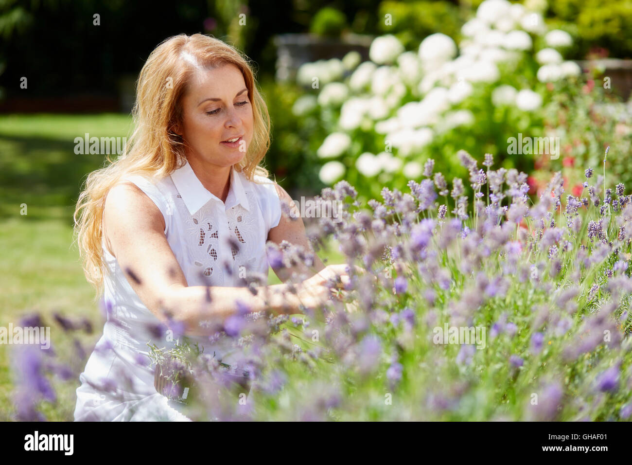 Frau trimmen Blumen im freien Stockfoto