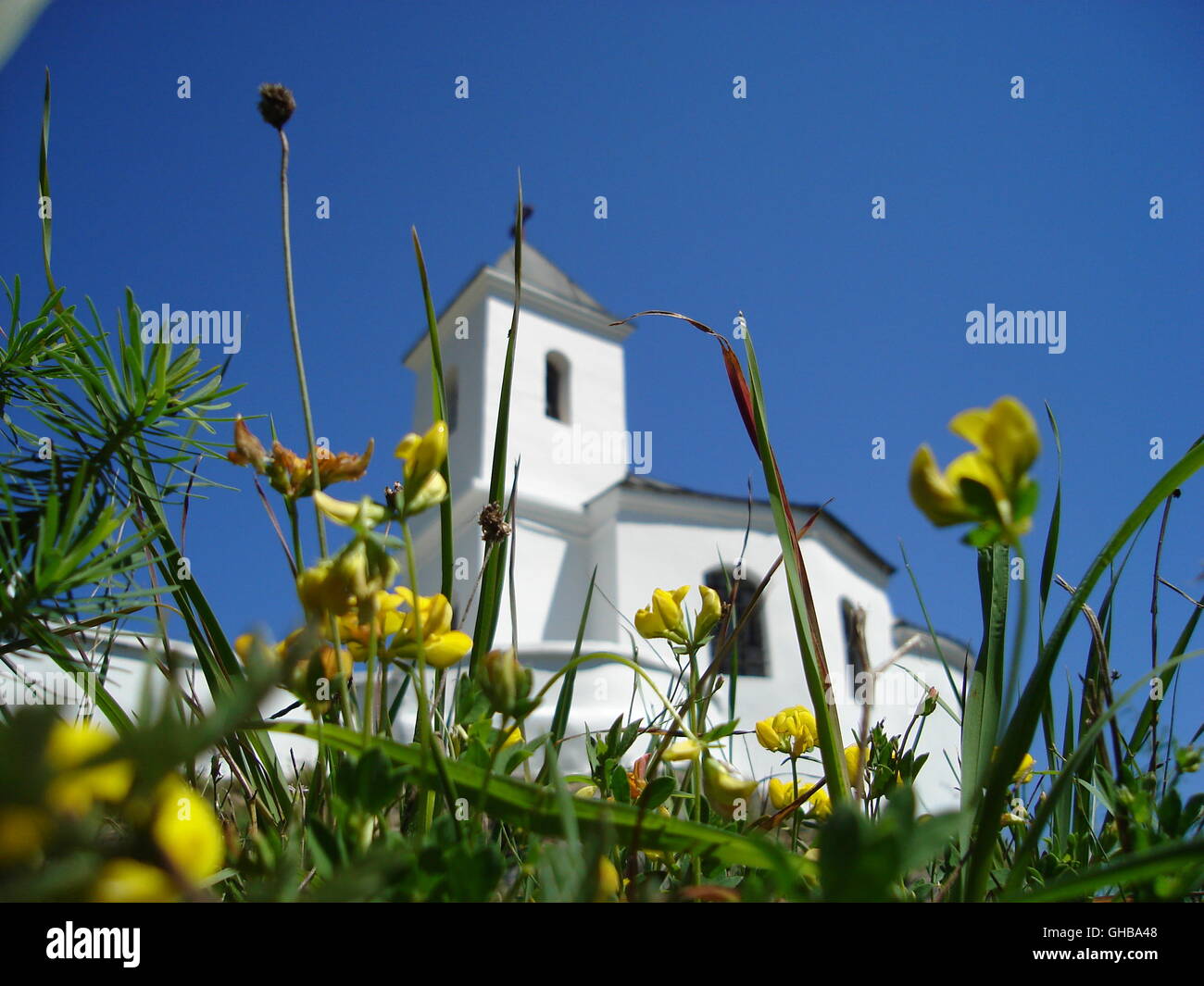 Schauen Sie durch Feldblumen und Gräser katholische Kapelle in Prijepolje, Serbien... Stockfoto