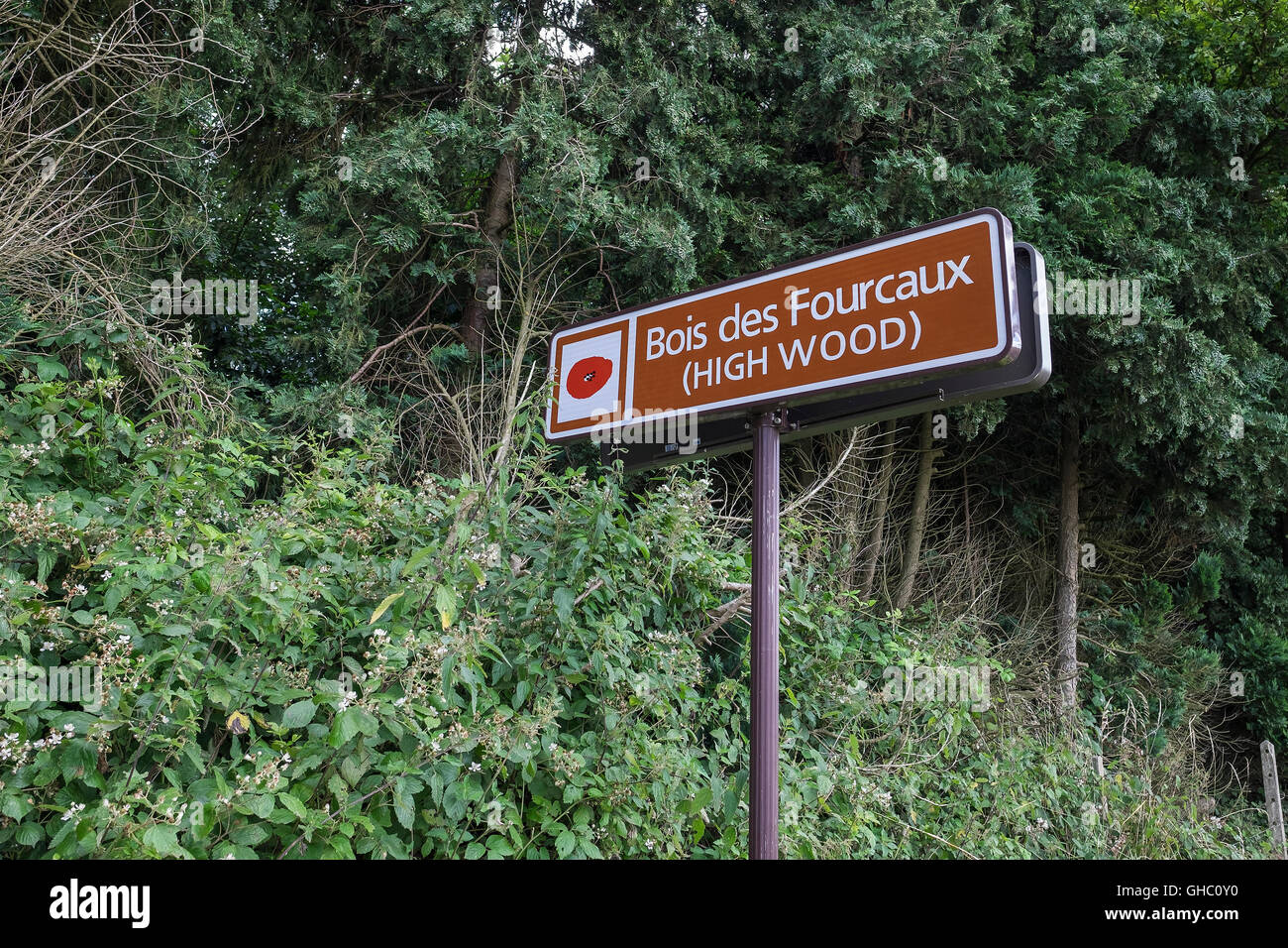 Ein Schild hoch Holz, Bazentin-le-Petit, Frankreich. Stockfoto