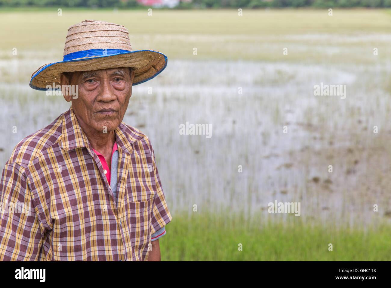 ältere thai Landwirt Blickkontakt überfluteten Reisfeld Stockfoto