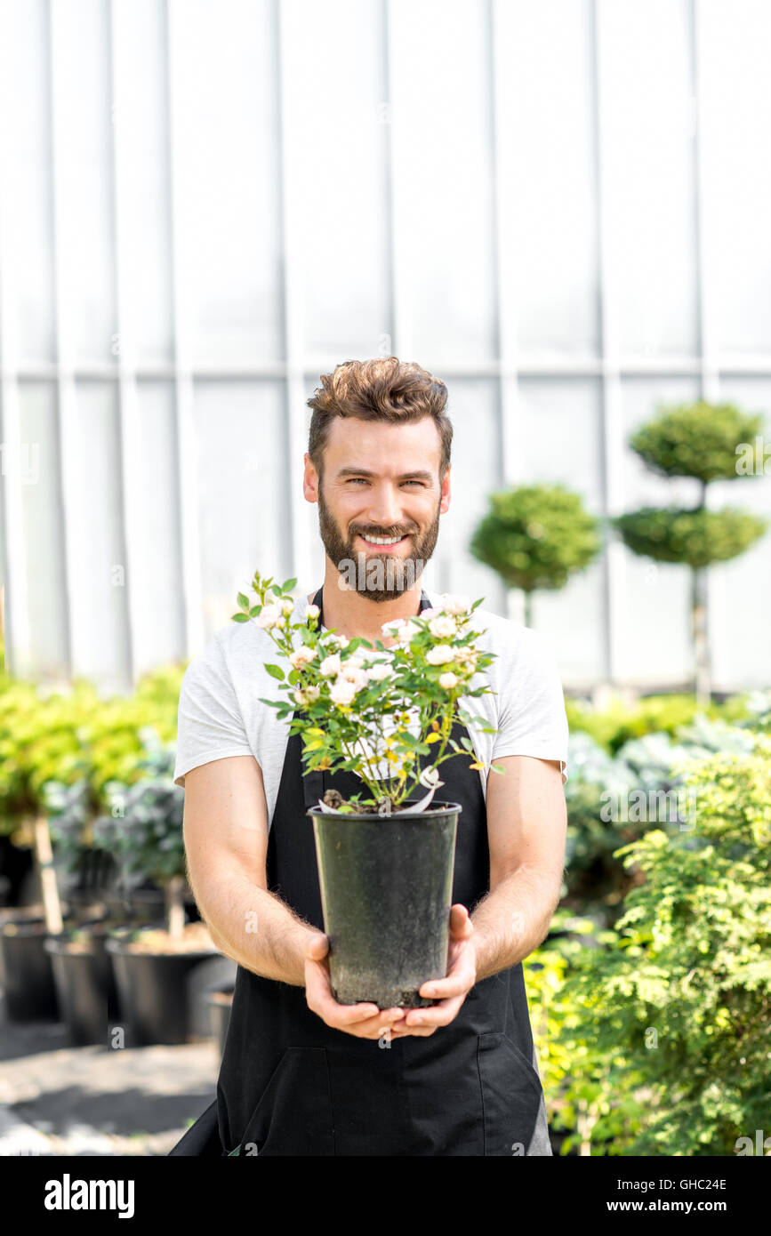 41+ Blumentopf Varianten Gärtner, Dabei spielen blumentöpfe eine