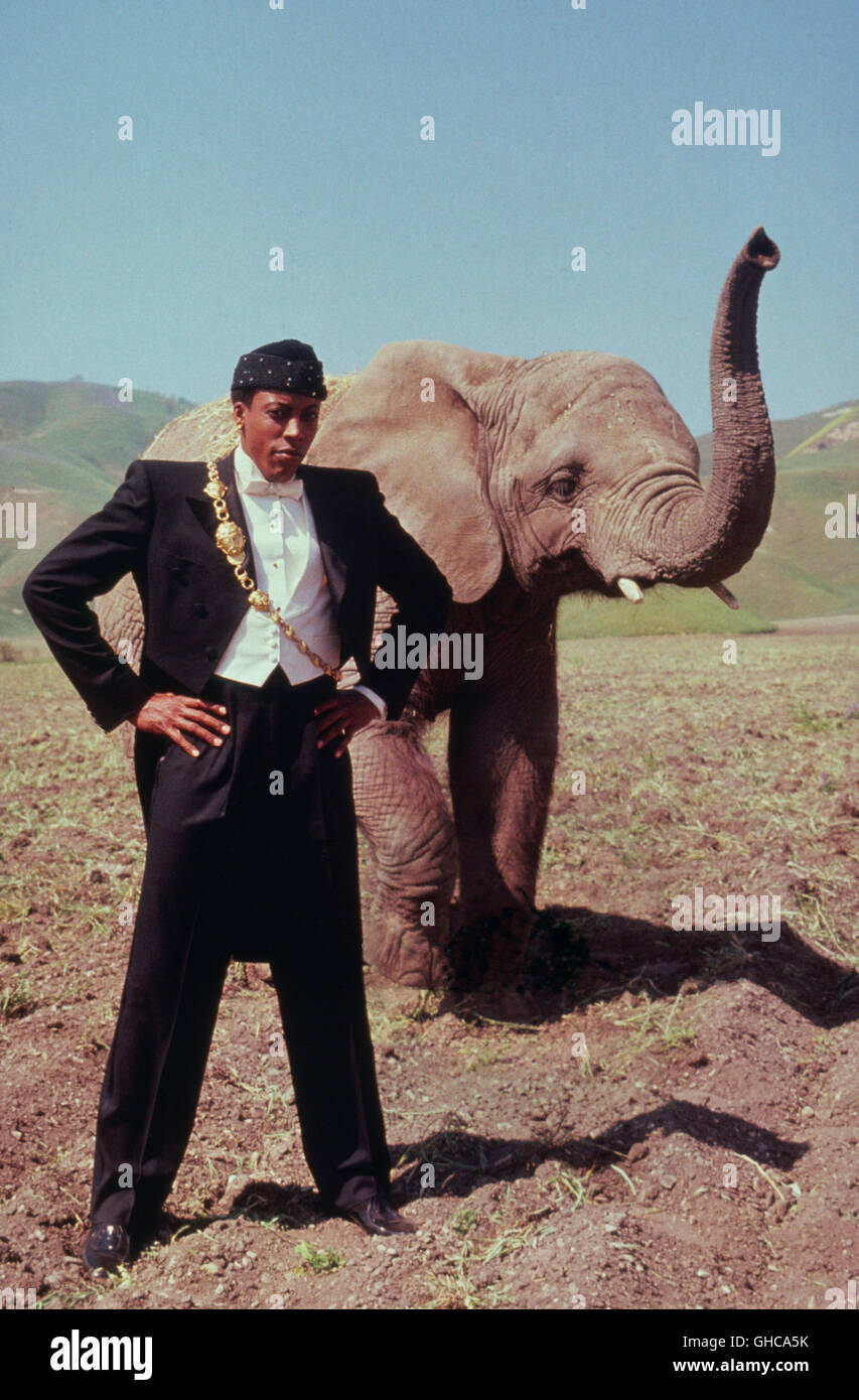 DER PRINZ AUS ZAMUNDA Coming to America USA 1988 John Landis Semmi (ARSENIO HALL), Portrait mit Elefant-Regie: John Landis aka. Coming to America Stockfoto