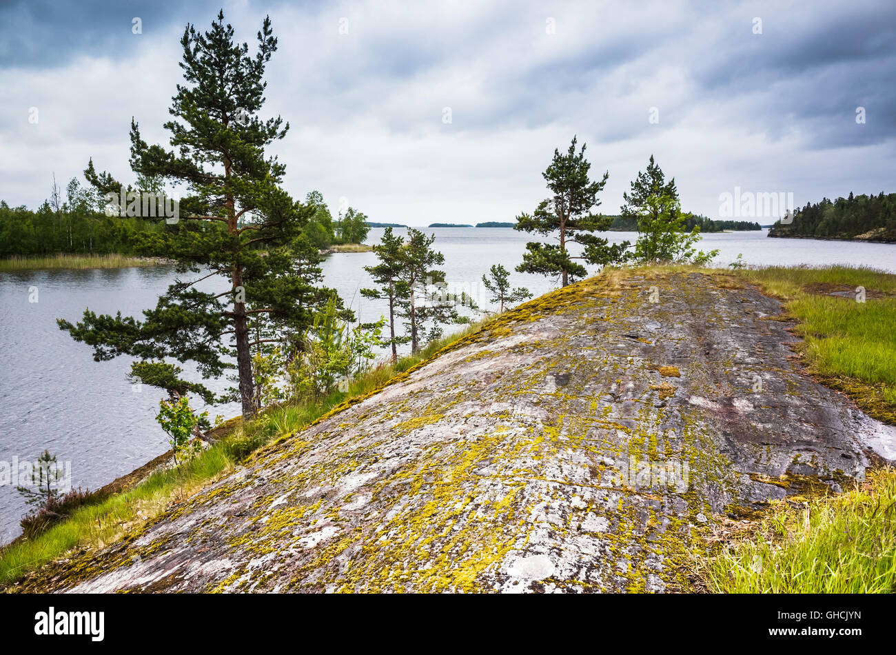 Ladoga Seenlandschaft. Pinien und grünen Rasen wachsen auf Küstenfelsen unter dunklem Wolkenhimmel Stockfoto