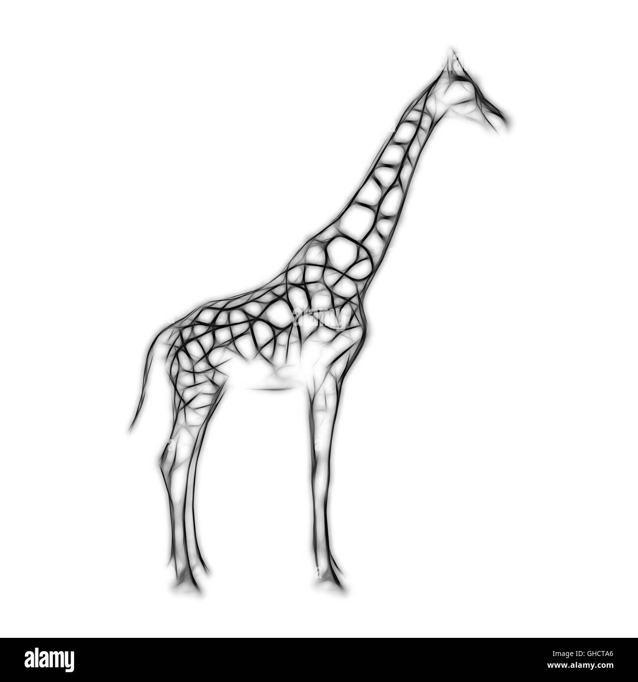 Skizze des Hais auf weißen Hintergrund isoliert Stockfoto