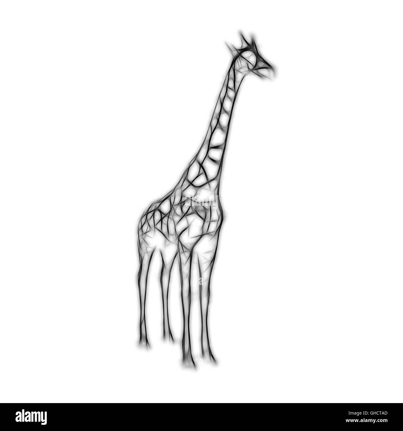 Skizze des Hais auf weißen Hintergrund isoliert Stockfoto