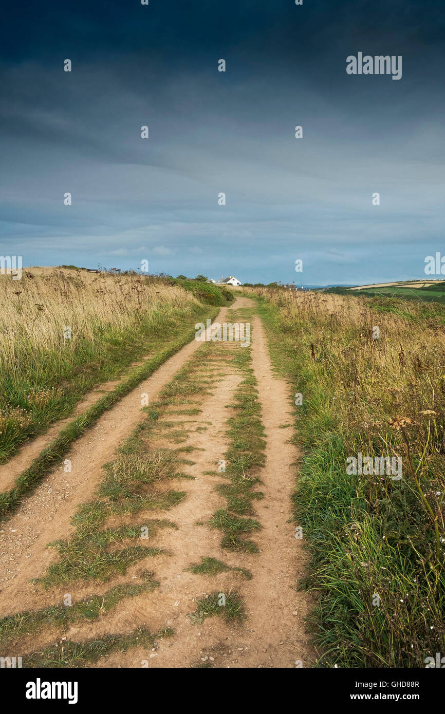 Eine ausgefahrene Spur auf Osten Pentire Landzunge in Newquay, Cornwall. Stockfoto